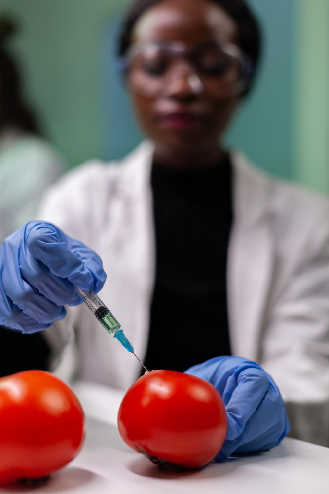 closeup-african-american-researcher-with-medical-gloves-injecting-organic-tomato-with-pesticides-during-microbiology-experiment-biochemist-working-farming-hospital-lab-testing-gmo-vegetable